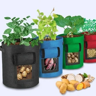 Root Veg Grow Bags