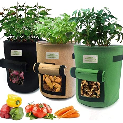 Root Veg Grow Bags