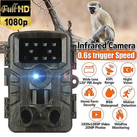 120° Wildlife Photography Trail Video Camera