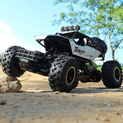 RC Monster Trucks