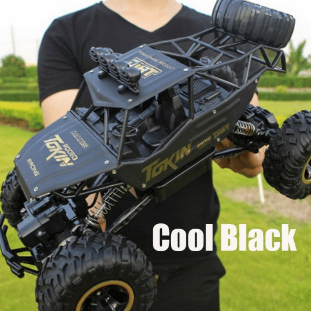 RC Monster Trucks