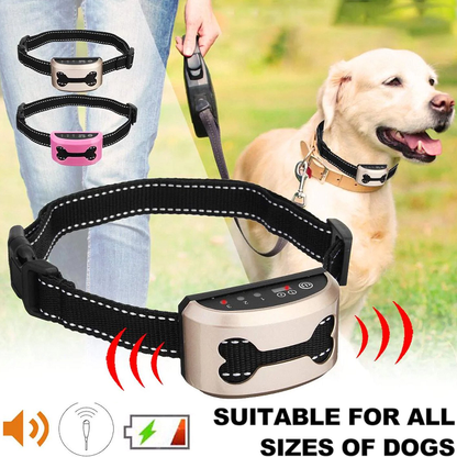 Bark Control Dog Collar