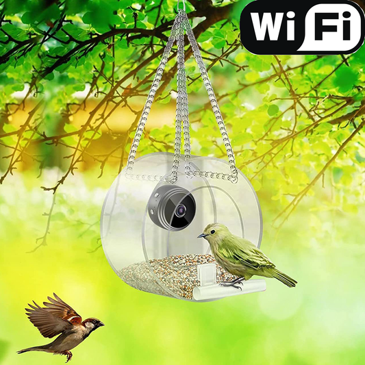 Bird Feeder with Optional Camera