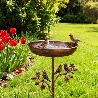 Garden Iron Birdbath