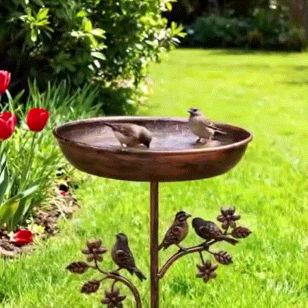 Garden Iron Birdbath