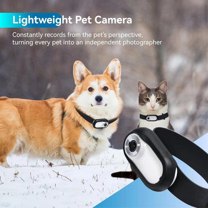 Mini Pet Collar Camera