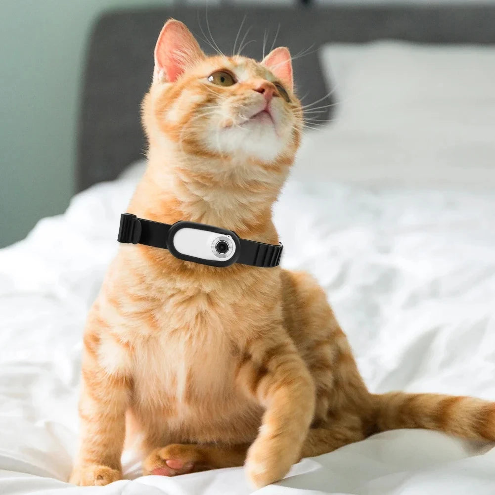 Mini Pet Collar Camera