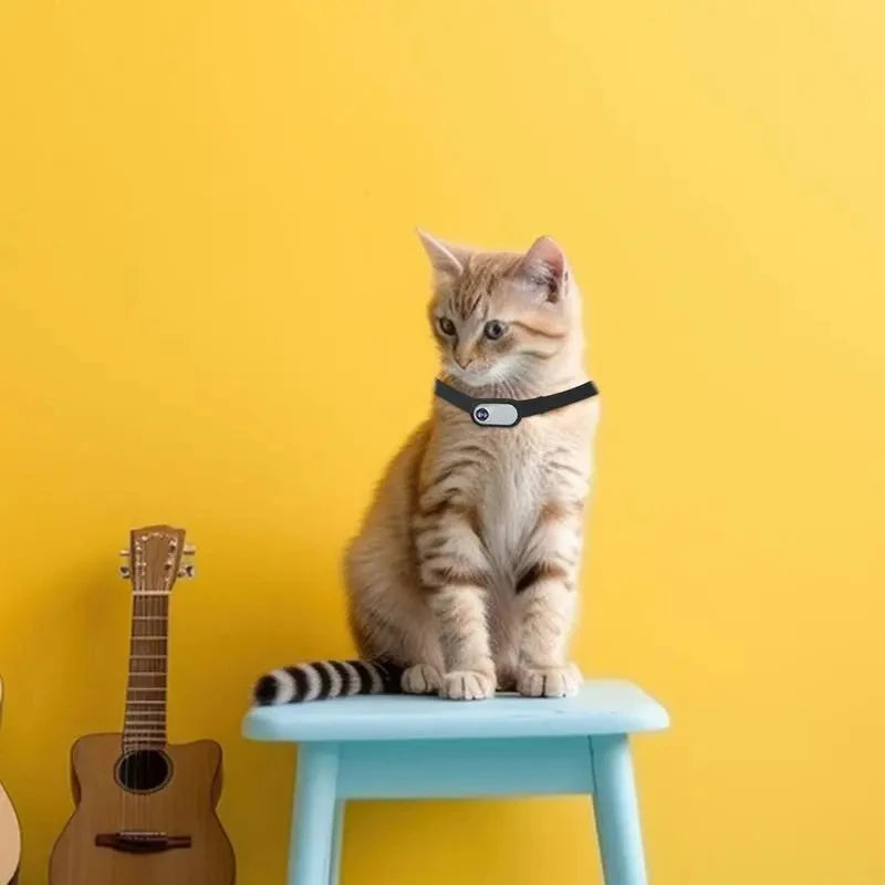 Mini Pet Collar Camera
