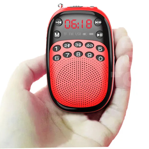 Mini Pocket FM Radio
