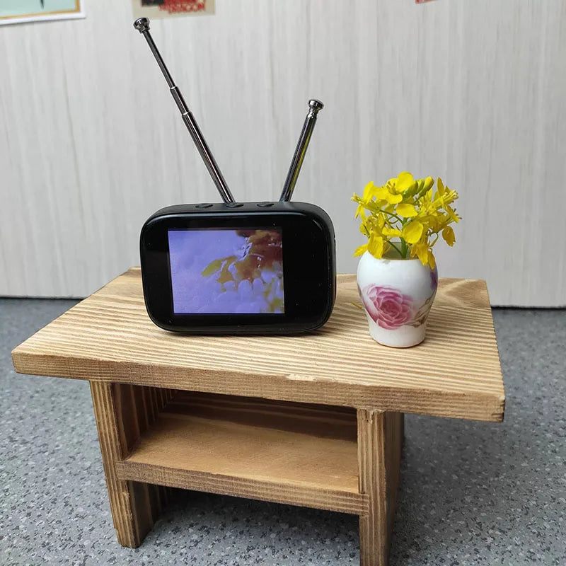 Mini TV MP4 Player
