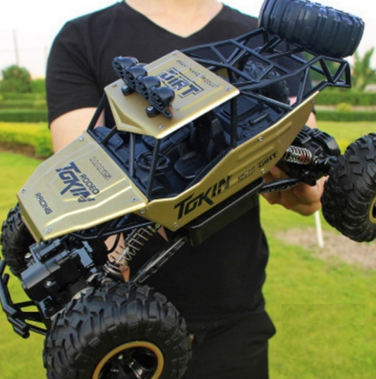 RC Monster Trucks