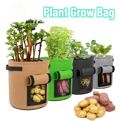 Root Veg Grow Bags
