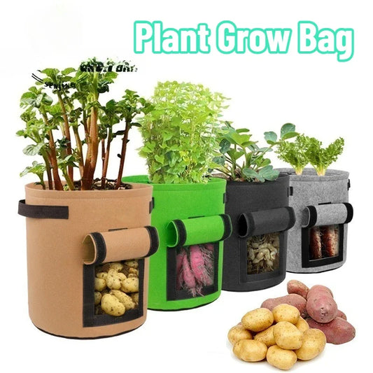Root Veg Grow Bags
