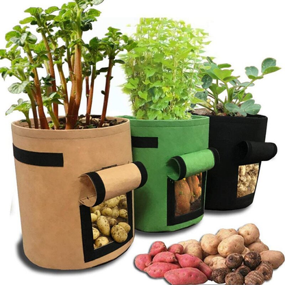 Root Veg Grow Bags