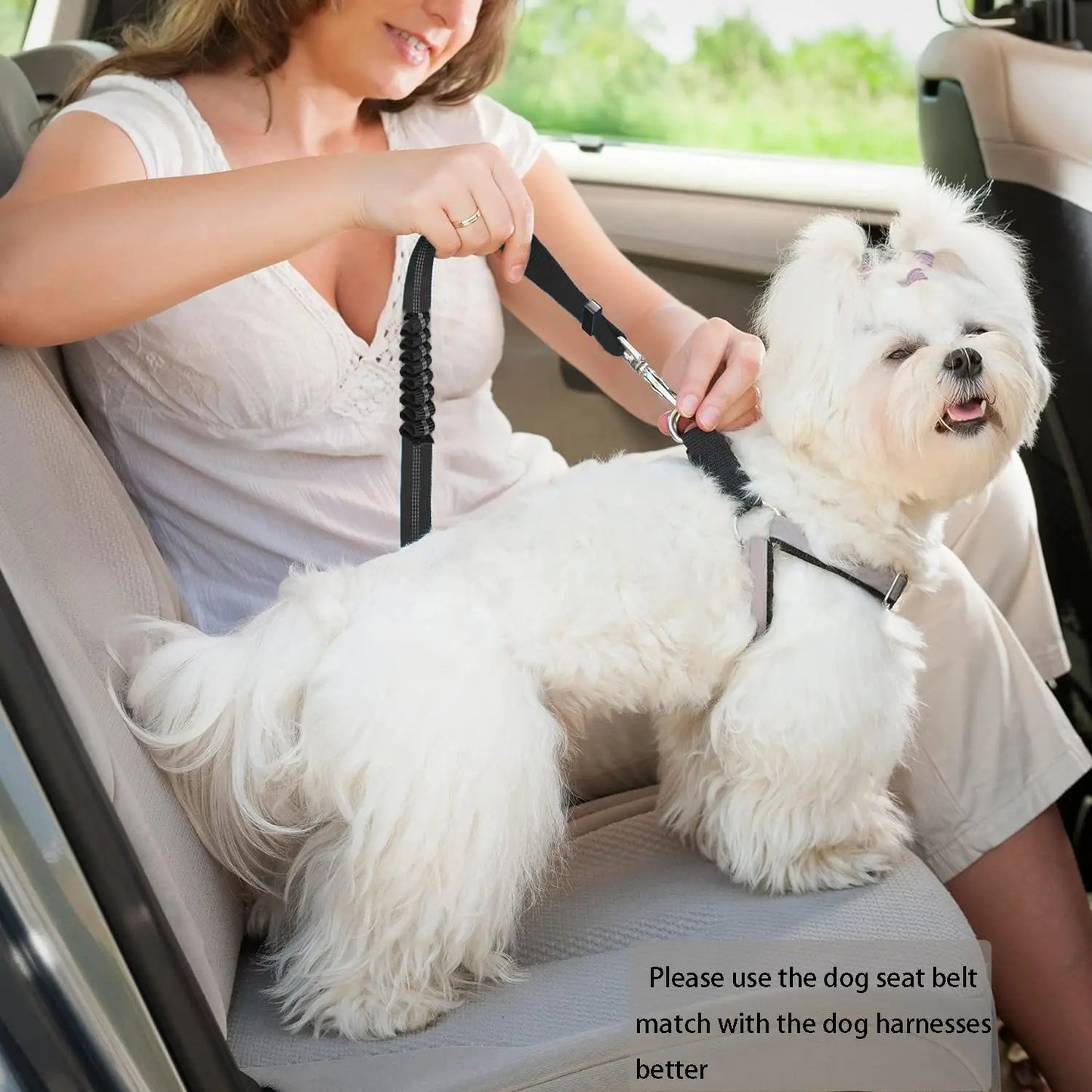 Heavy Duty Dog Car Seat Belt