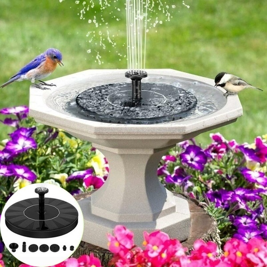 Solar-Powered Water Fountain