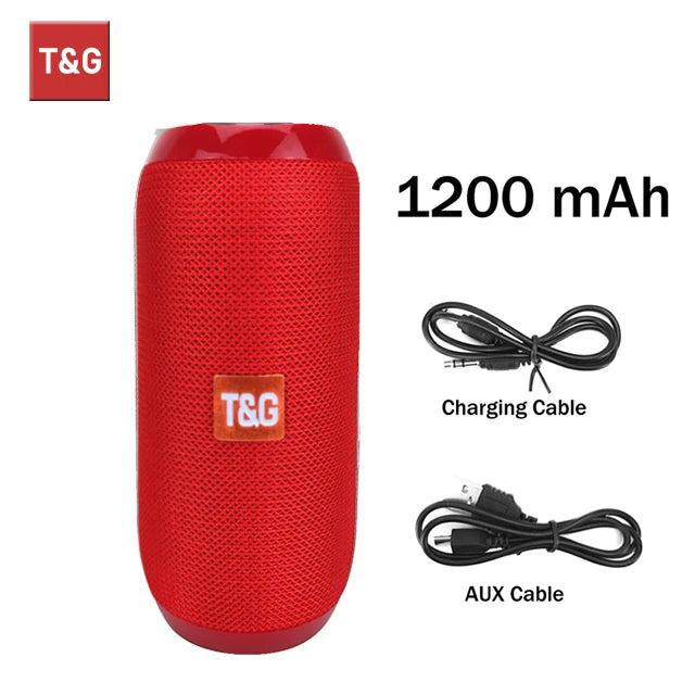 T&G Surround Sound Portable Loudspeaker
