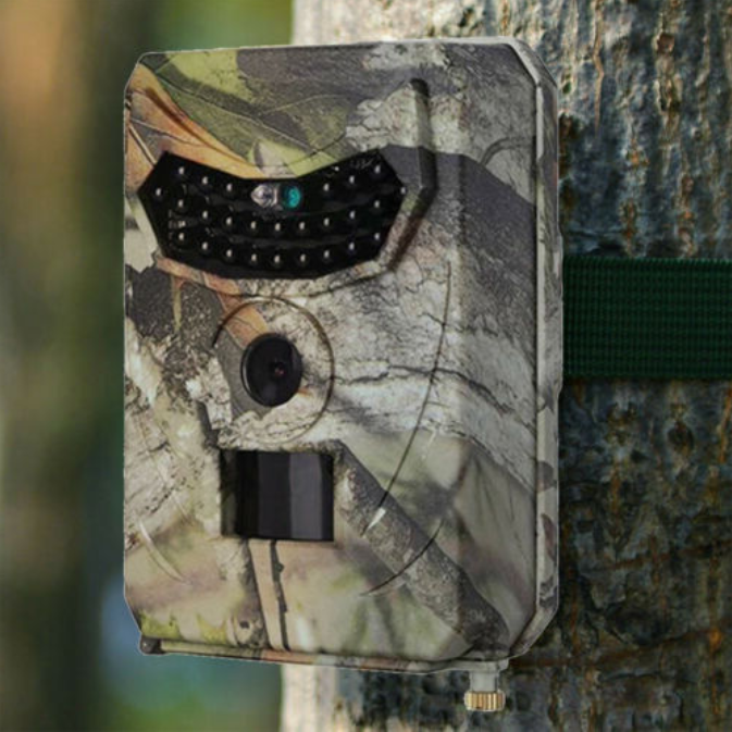 Wildlife Photography Trail Camera