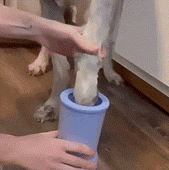 Electric Dog Paw Cleaner